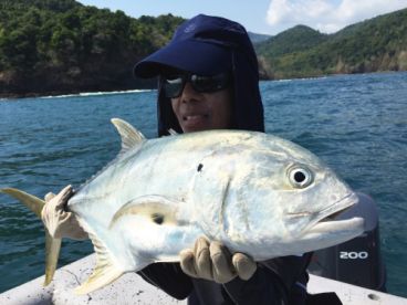 Panama Jack Crevalle