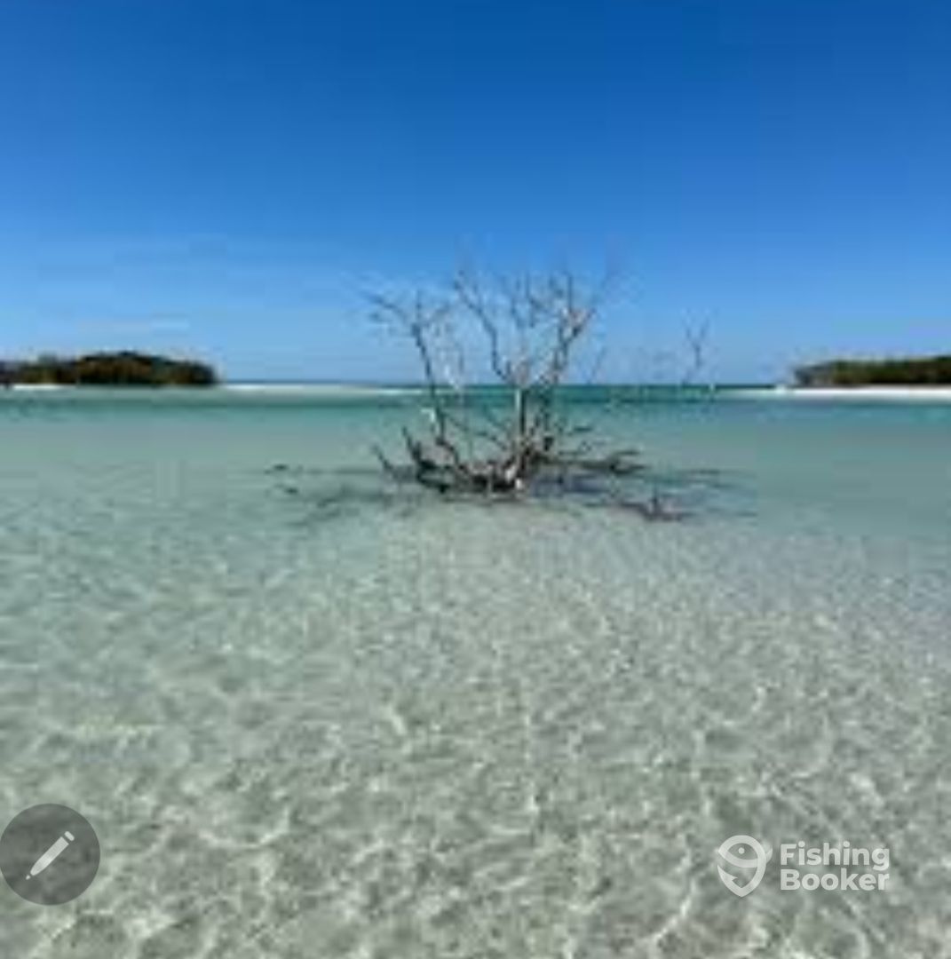 St. Petersburg Report Photo 0