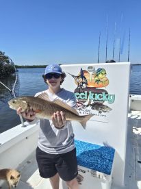 St. Petersburg Report Photo 2