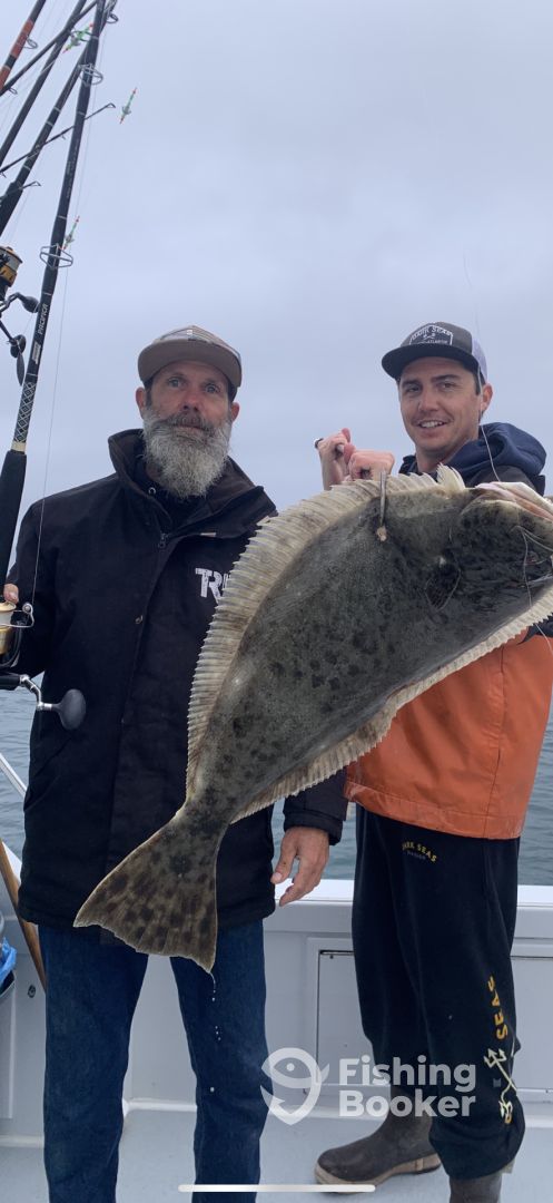 Dana Point Report Photo 0