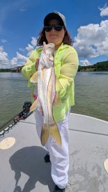 Gamboa Report Photo 2