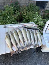 The day bite is on!