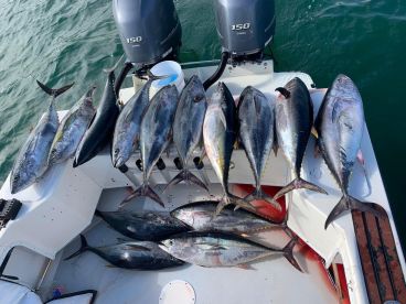 Coronado Report Photo 2