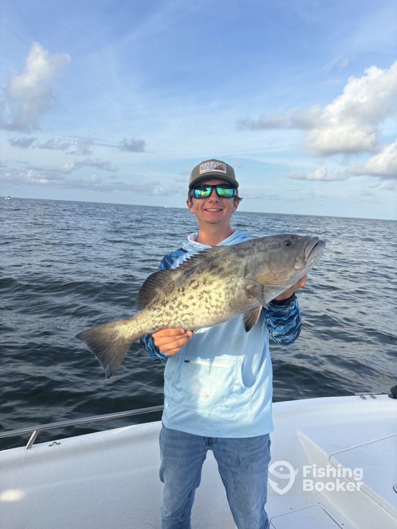 Gulf Breeze Report Photo 0