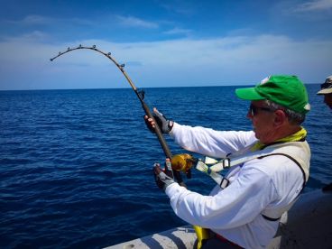 panama sportfishing