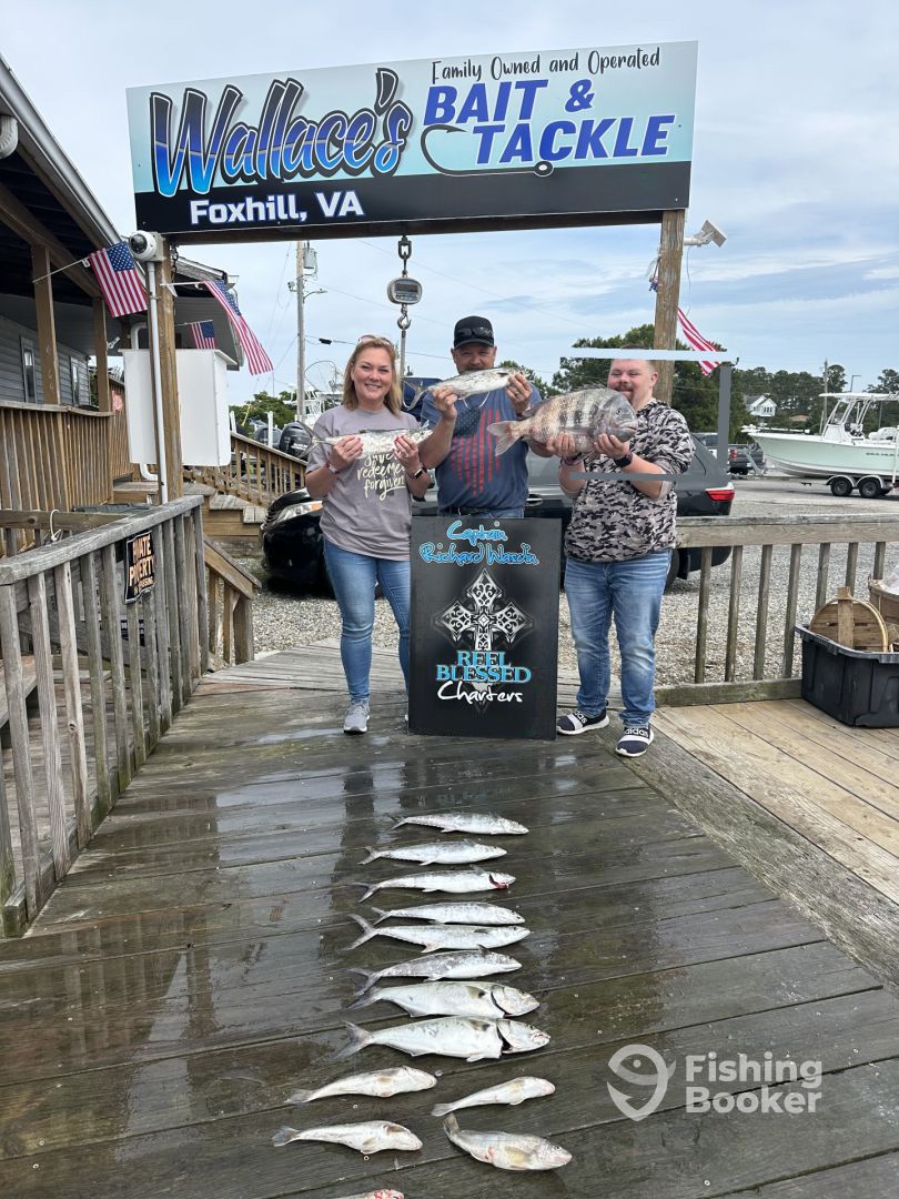 Hampton Report Photo 0