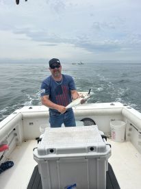 Hampton Report Photo 1