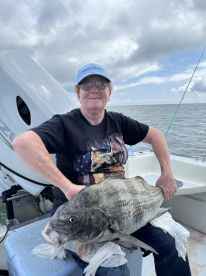 Seaford Report Photo 2