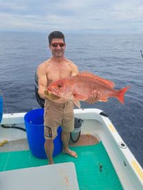 Snapper and Rooster