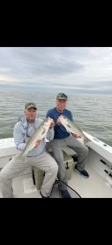 Pocomoke Sound Wildlife Management Area Report Photo 2