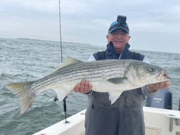Southold Report Photo 2