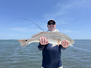 Morehead City Report Photo 1
