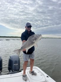 Big boys came out to play! 