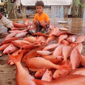 Destin Report Photo 2