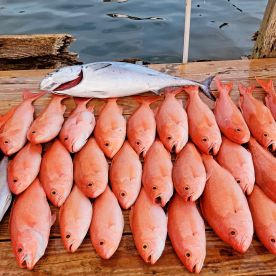 Destin Report Photo 1