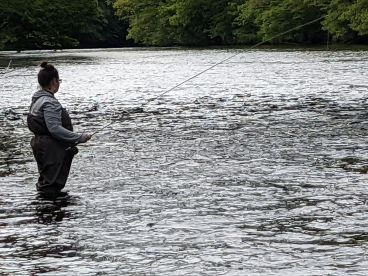 New bees . Fly fishing lessons. 