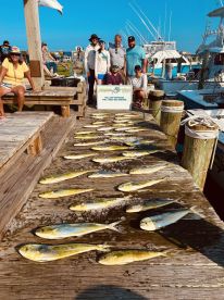Mahi Mahi! So nice they named it twice