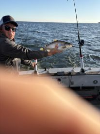Oswego County Report Photo 1