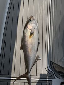 Edisto Beach Report Photo 2