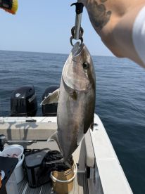 Edisto Beach Report Photo 1