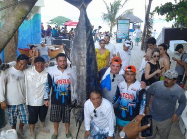 marlin azul. capi salas.