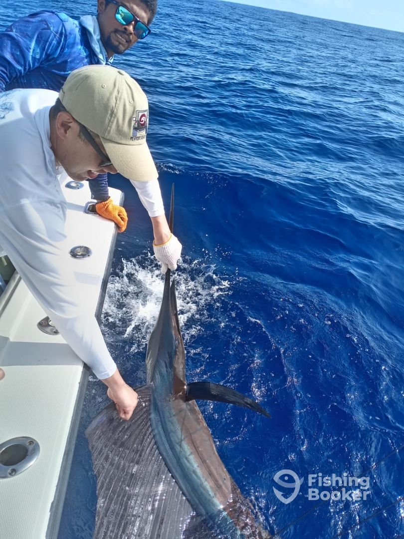 Playa Flamingo Report Photo 0