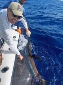 Playa Flamingo Report Photo 2