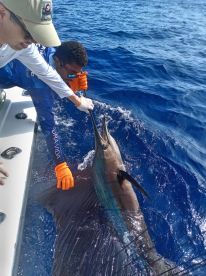 Playa Flamingo Report Photo 1