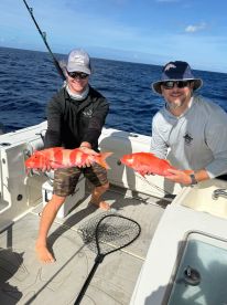 Some Deep Drop Beauties