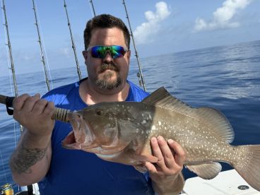 Belleair Bluffs Report Photo 1