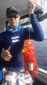 Cuvu Report Photo 1