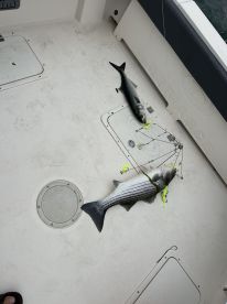 Brick Township Report Photo 2