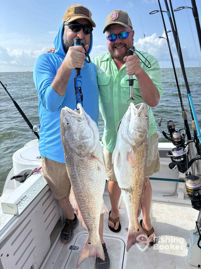 Galveston Report Photo 0