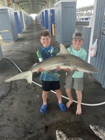 Galveston Report Photo 2