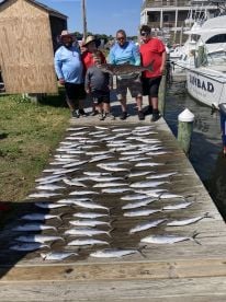 North Carolina Report Photo 2