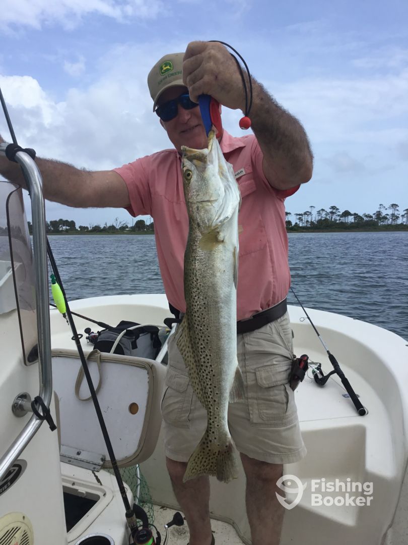 Port St. Joe Report Photo 0