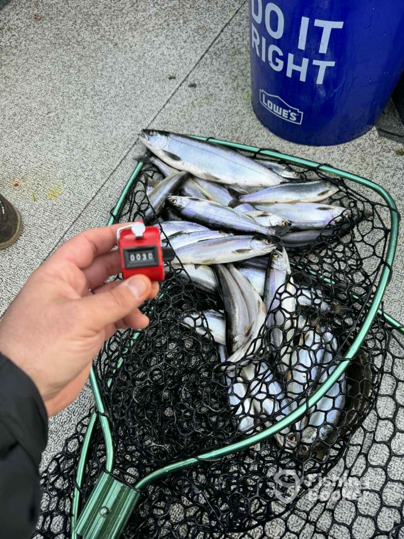 Lake Stevens Report Photo 0