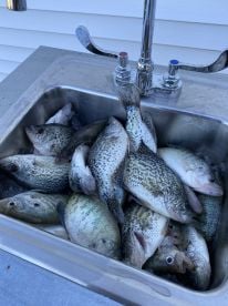 High water Crappie!