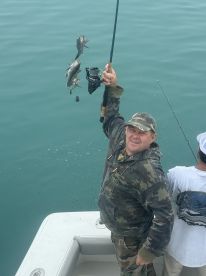 Great sea bass & ling fishing conitnues