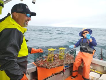 Sweet Spot Prawns (Amaebi) 