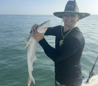 There couldn’t be a better time to hop o