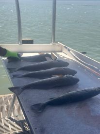 Great Fishing Saturday.  4 reds and 2 tr