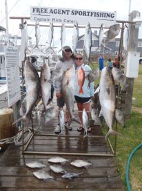 May 6 and 8 All day Live Bait/Bottom Fis