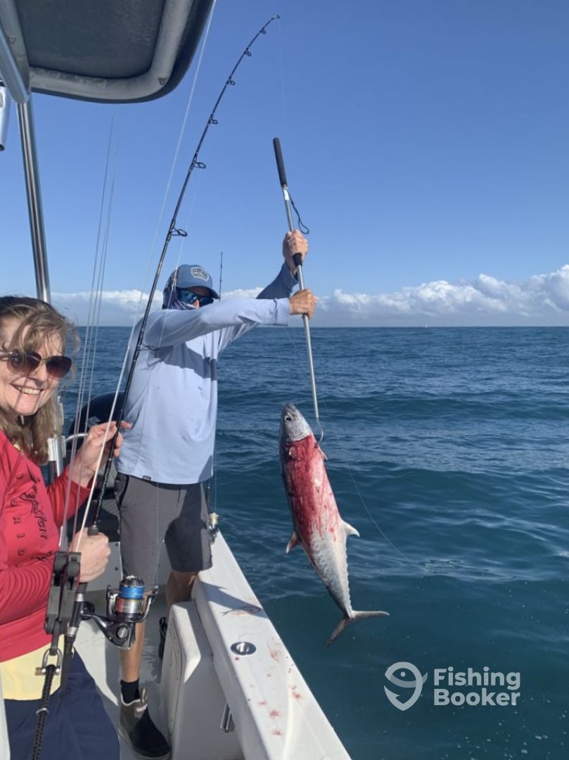San Juan Report Photo 0