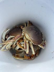 Spring Chinook and crabbing is starting 