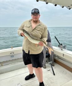 St. Clair Shores Report Photo 2