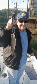Branson Report Photo 1