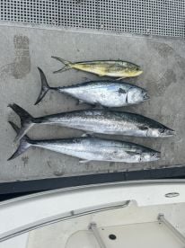 June Fishing Off to a Strong Start