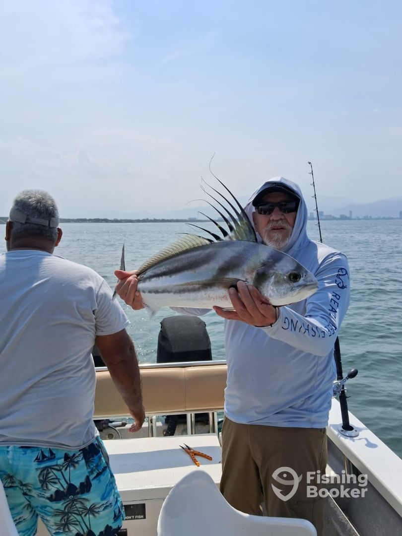 Puerto Vallarta Report Photo 0