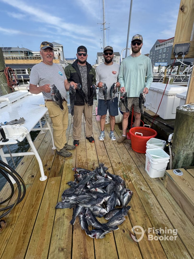 Ocean City Report Photo 0